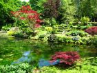 Chteau de Courances, le jardin japonais