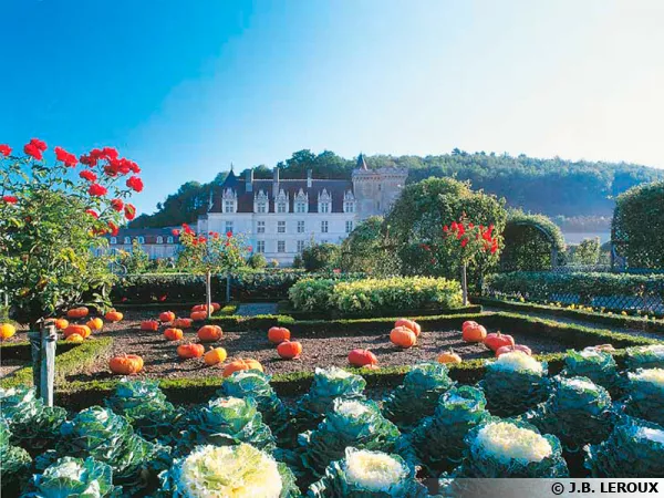 Le jardin du Château de Villandry (37)
