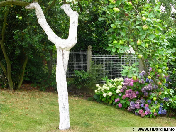 Le traitement hivernal des arbres