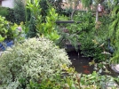 Jardin le clos fleuri  Chabeuil (26)