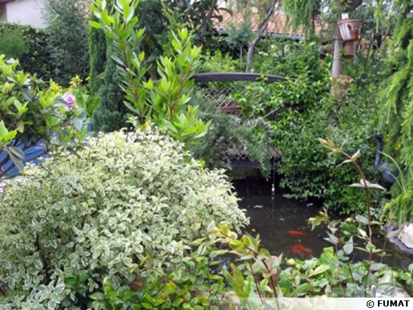 Jardin le clos fleuri  Chabeuil (26)