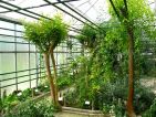 Conservatoire National des Plantes à Parfum, Médicinales, Aromatiques et Industrielles de Milly la forêt Conservatoire National des Plantes à Parfum, Médicinales, Aromatiques et Industrielles de Milly la forêt