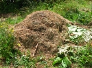 Le compostage en tas