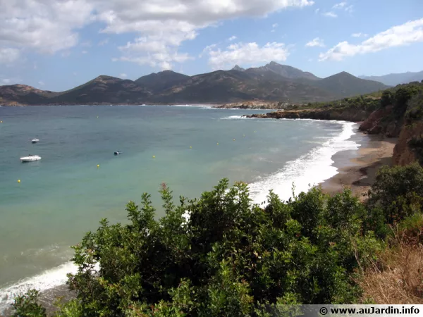 Paysage sauvage de Corse au-dessus de Galéria