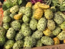 Concombre du Kenya, M�tulon, Kiwano, concombre cornu, Cucumis metuliferus