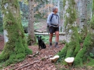 La cueillette des champignons