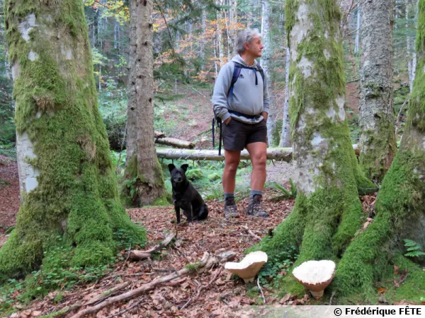 Un chercheur de champignons vigilant