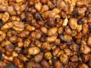 Souchet comestible, Amande de terre, Cyperus esculentus