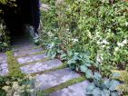 Didier Danet, Le Jardin Jour & nuit de Ma Maison, Mon Jardin, allée