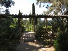 Une allée sous pergola au Domaine du Rayol Une allée sous pergola au Domaine du Rayol