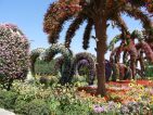 Dubai, le Miracle Garden et son allée de coeurs Dubai, le Miracle Garden et son allée de coeurs