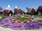 Dubai, le Miracle Garden et son superbe paon Dubai, le Miracle Garden et son superbe paon