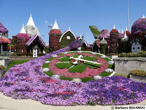 Dubai, le Miracle Garden et son paon à la queue immense