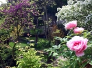 Le jardin d'Eden  Tournon-sur-Rhne (07)