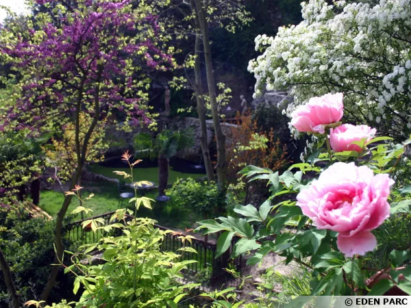 Le jardin d'Eden à Tournon-sur-Rhône (07)