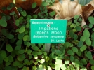 Les tiquettes pour les plantes du jardin