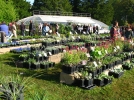 L'agenda des vnements Jardin
