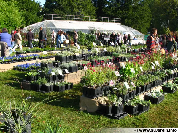 Les fêtes des plantes