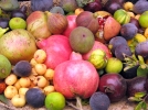 Des salades de fruits et de lgumes pour garder la ligne