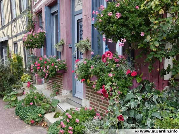 De nombreuses jardinières et pots ornent cette façade de maison