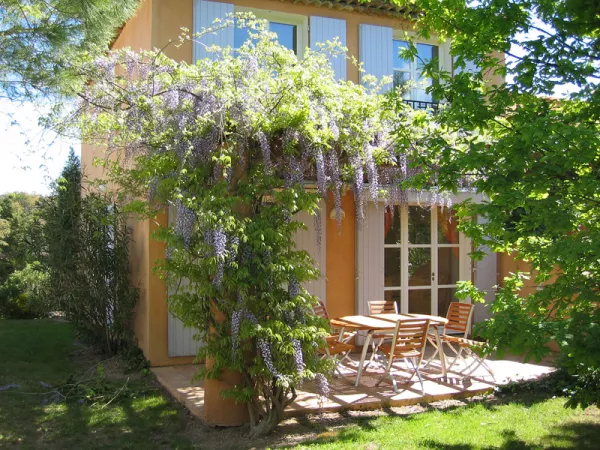 Une glycine qui prend ses quartiers sur une pergola