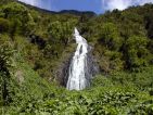 La forêt de l'île de la Réunion, le voile de la mariée La forêt de l'île de la Réunion, le voile de la mariée