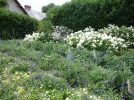 Le jardinage raisonn