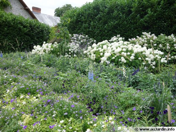 Un jardin opulent qui n'utilise pas de produits phytosanitaires