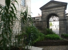 Le jardin de l'Apothicaire  Troyes (10)