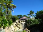Le jardin botanique de Deshaies en Guadeloupe