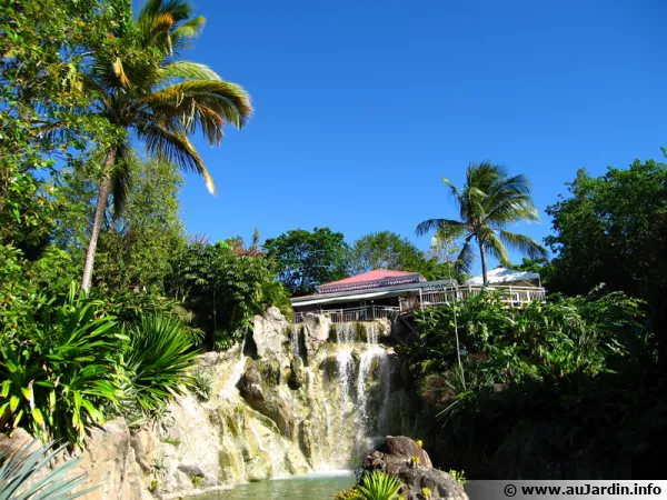 Le jardin botanique de Deshaies en Guadeloupe