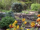 Le jardin botanique médiéval de la chevalerie de Sace Le jardin botanique médiéval de la chevalerie de Sace