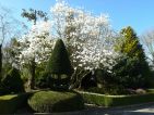 Jardin botanique des montagnes noires, vue 3 Jardin botanique des montagnes noires, vue 3