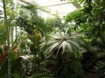 Jardins botaniques et collections privées