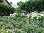 Le jardin breton