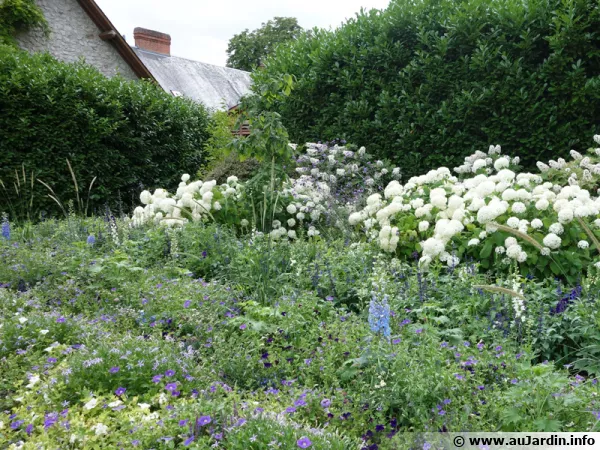 Le jardin breton