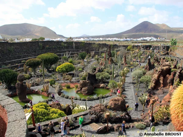 Le jardin de cactus de Lanzarote, vue d'ensemble sur la carrière