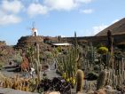 Le jardin de cactus de Lanzarote, vue sur le moulin Le jardin de cactus de Lanzarote, vue sur le moulin