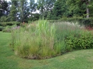 Le jardinage bio