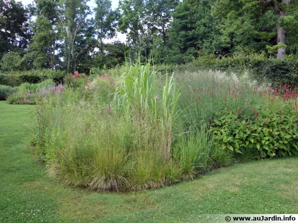 De la diversit dans les massifs du jardin