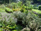 Questions frquentes sur la permaculture