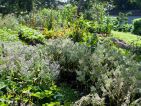 Le Jardin de Kerblouze, le potager