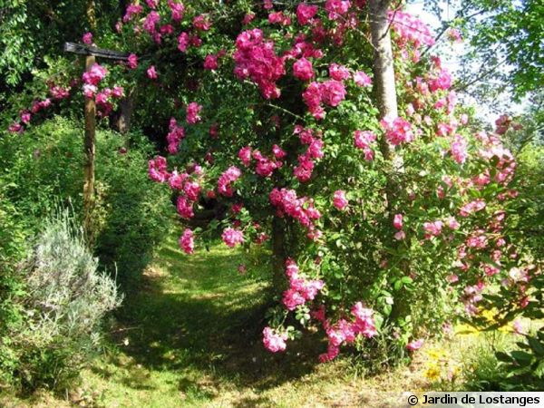 Le jardin de Lostanges (19)