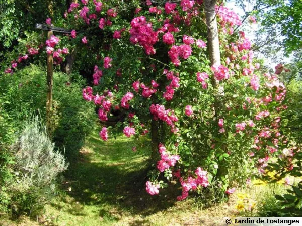 Le jardin de Lostanges (19)