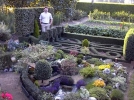 Mon jardin miniature