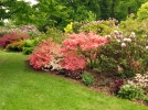 Un jardin opulent sans se ruiner