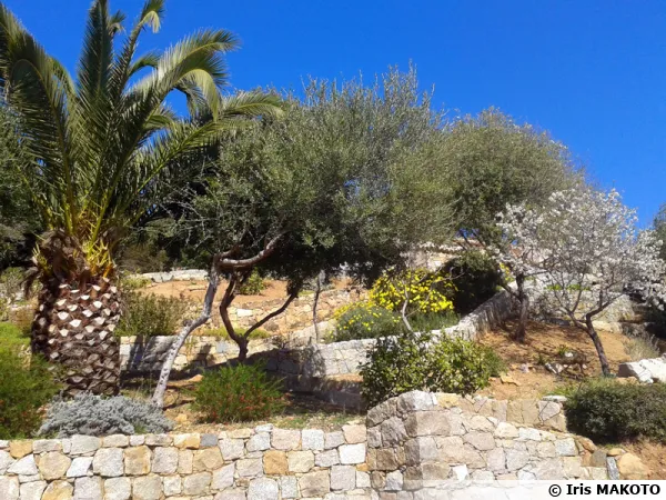 Aménager un jardin en pente