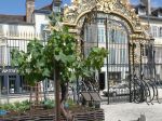 Le jardin des Plantes Médicinales à Troyes (10)