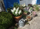 Le jardinage urbain