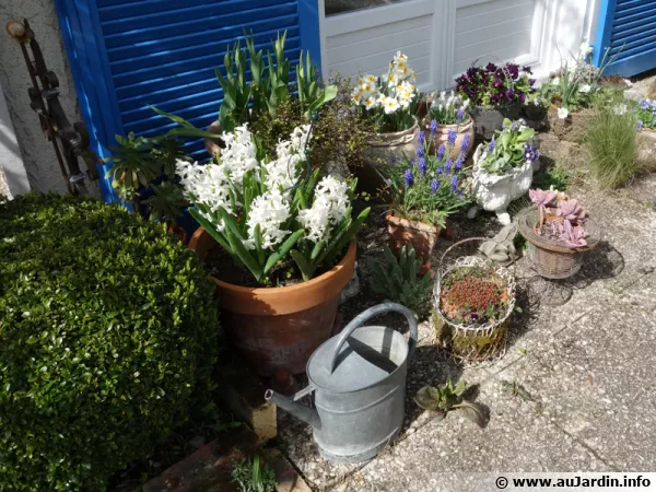 Le jardinage urbain